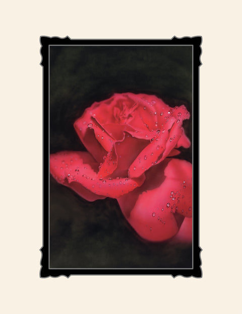 So Red The Rose