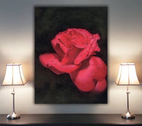 So Red The Rose
